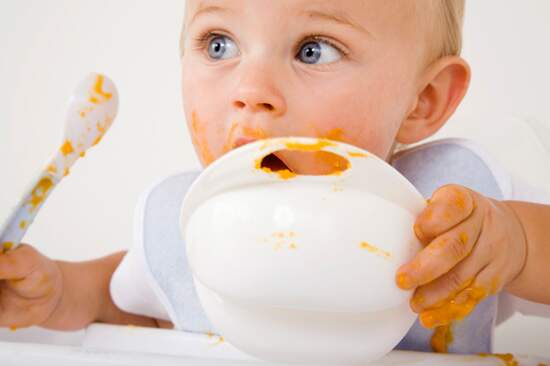 Guide-Feeding-Your-Baby-First-Year Dica de nutrição - Alimentação do Bebê